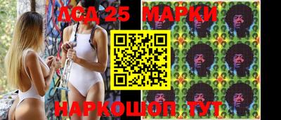 apvp Тверь