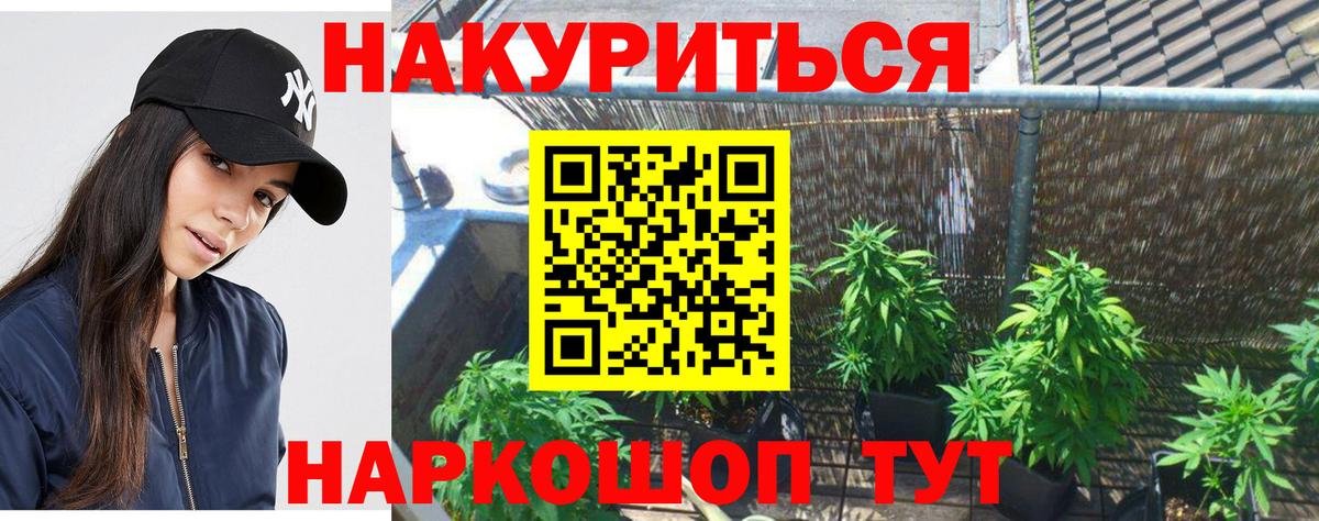 Боровичи  Каннабис планчик  Вход с VPN  Бошки Шишки THC 21% 